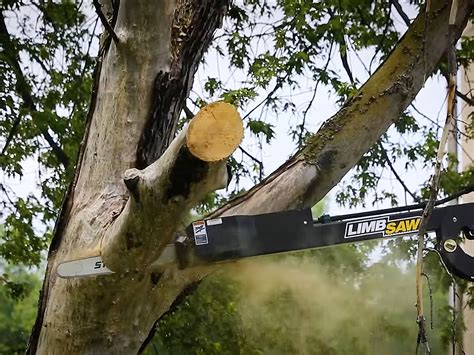 hydraulic limb saw for skid steer|loader mounted tree limb saw.